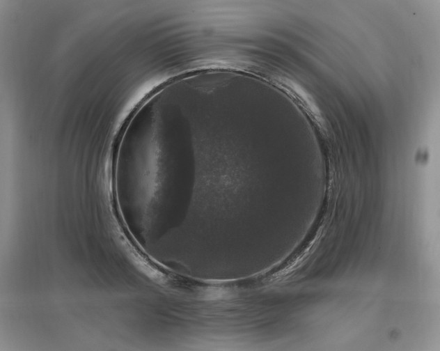 X0000097510796200802221505