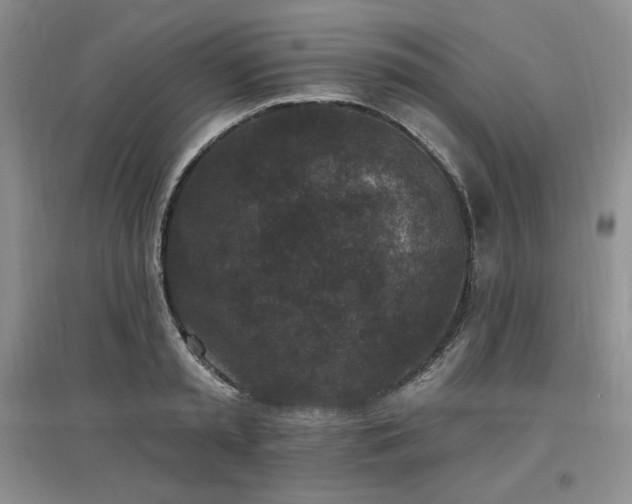 X0000097510797200802221505