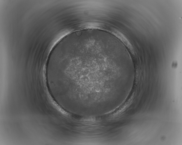 X0000097510798200802221505