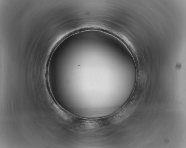 X0000097510799200802221505