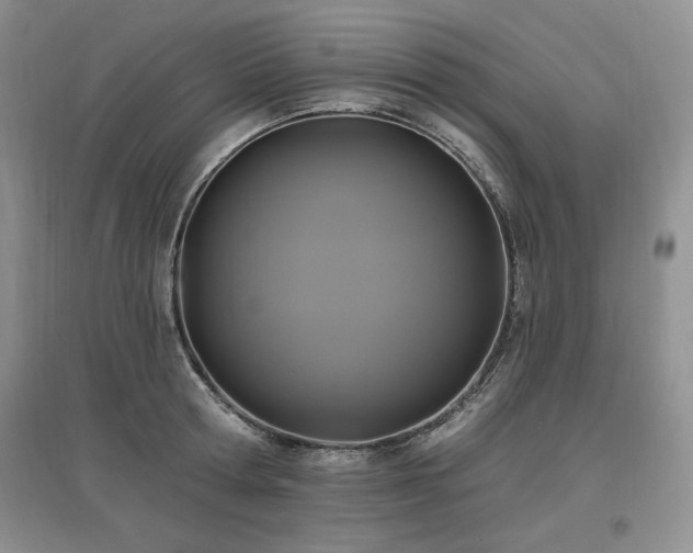 X0000097510802200802221505