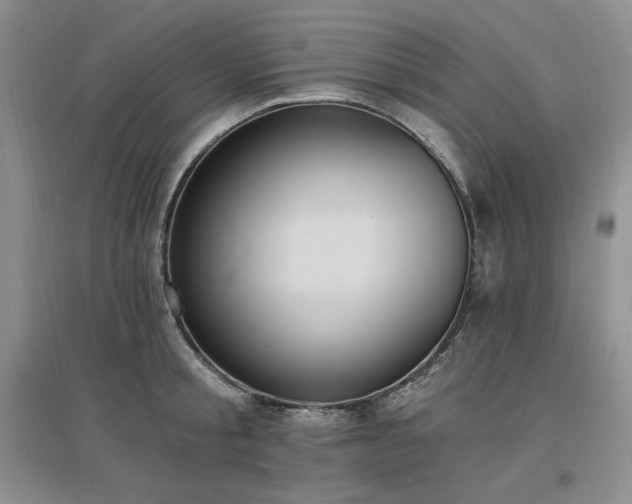 X0000097510805200802221505