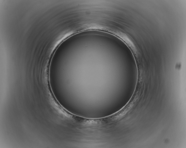 X0000097510806200802221505