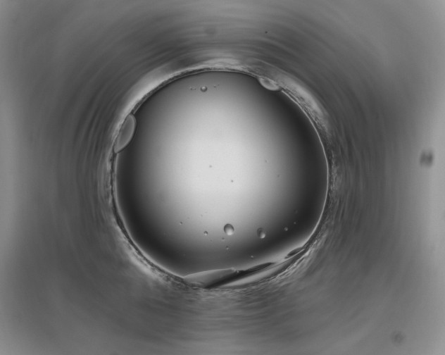 X0000097510808200802221505