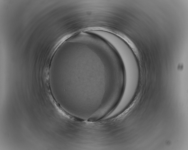 X0000097510809200802221505