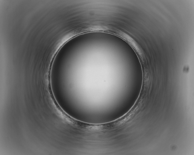 X0000097510810200802221505
