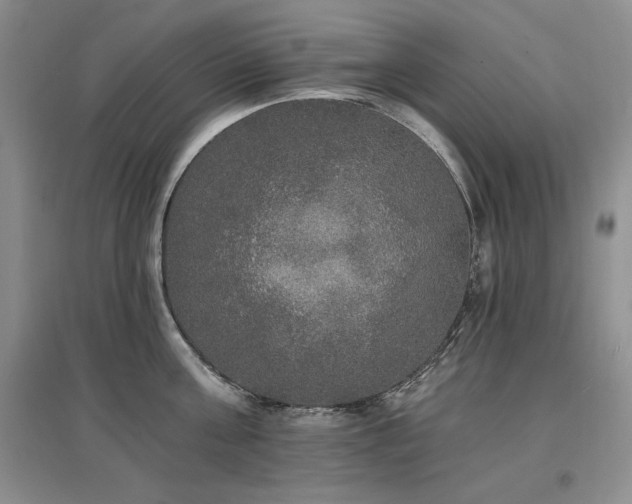 X0000097510811200802221505