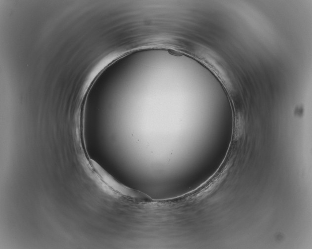 X0000097510812200802221505