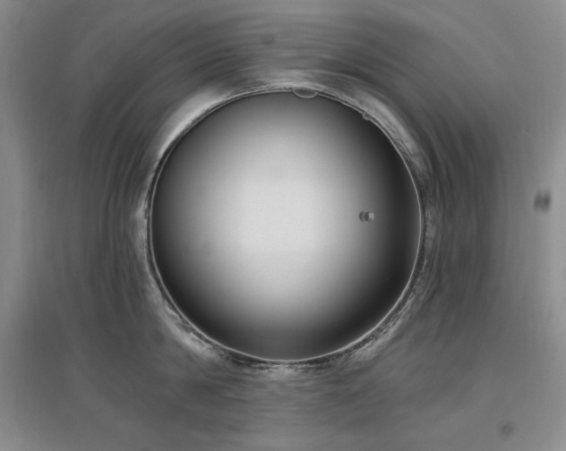 X0000097510814200802221505
