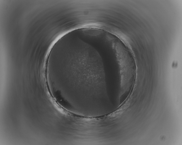 X0000097510816200802221505