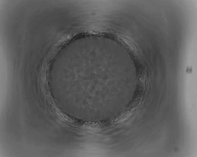 X0000097510817200802221504
