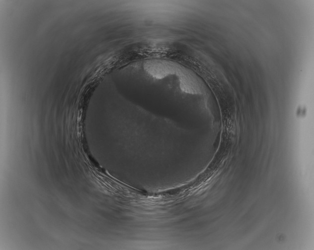 X0000097510818200802221505
