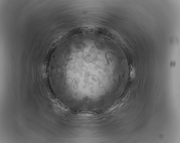 X0000097510819200802221505