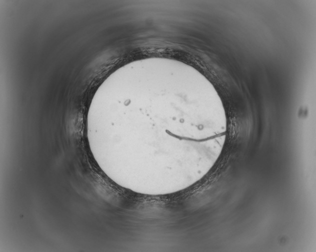 X0000097510820200802221505