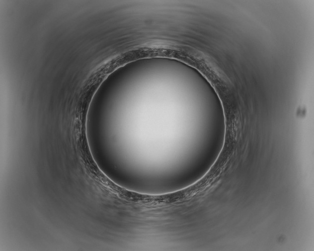 X0000097510821200802221505