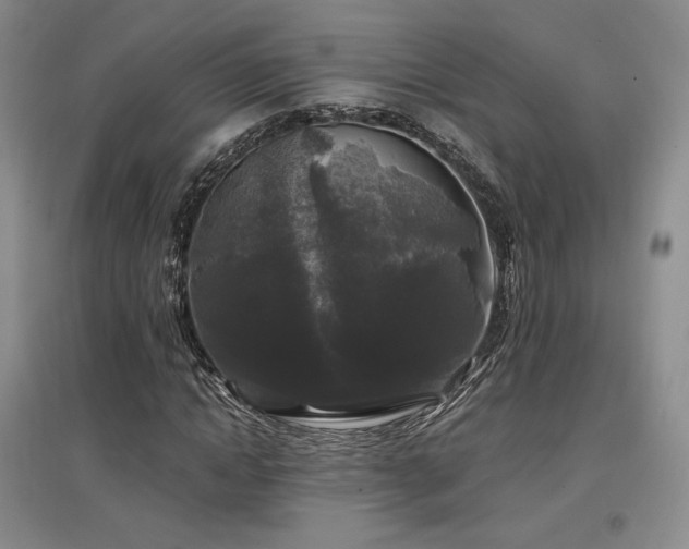 X0000097510822200802221505