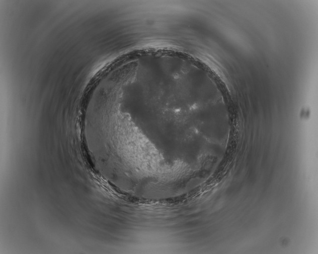X0000097510823200802221505