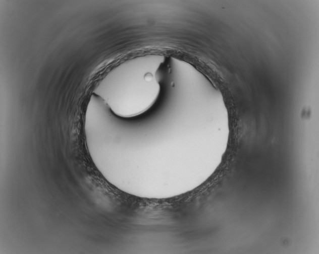 X0000097510824200802221505
