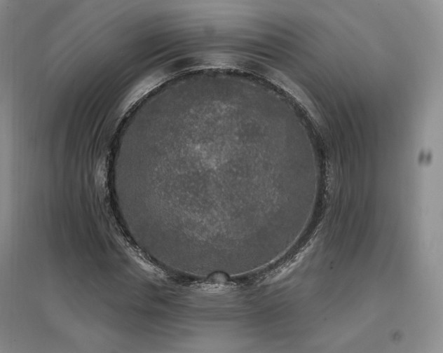 X0000097510826200802221505