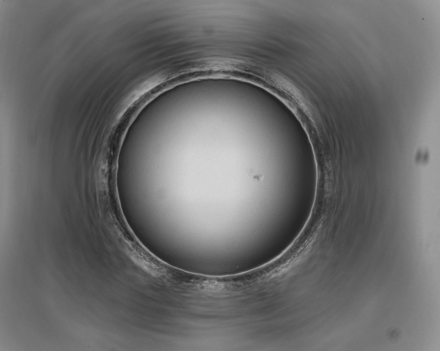 X0000097510827200802221505