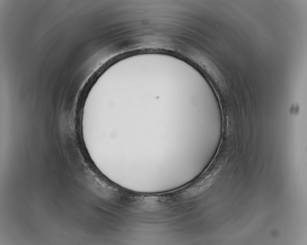 X0000097510828200802221505