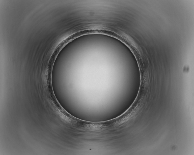 X0000097510831200802221505