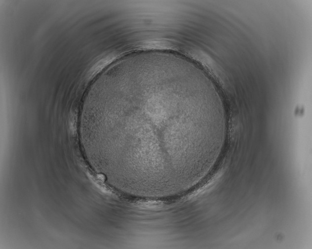 X0000097510833200802221505