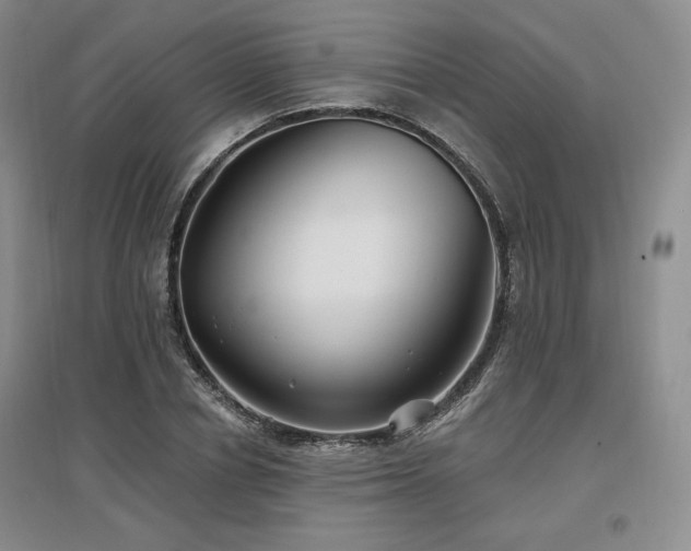 X0000097510834200802221505