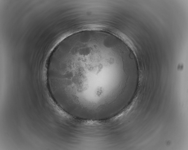 X0000097510835200802221505
