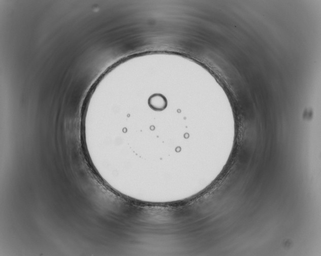 X0000097510836200802221505