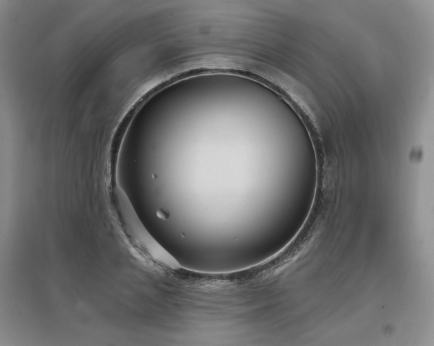 X0000097510837200802221505