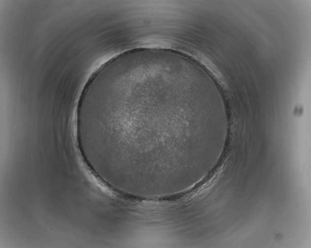 X0000097510840200802221505
