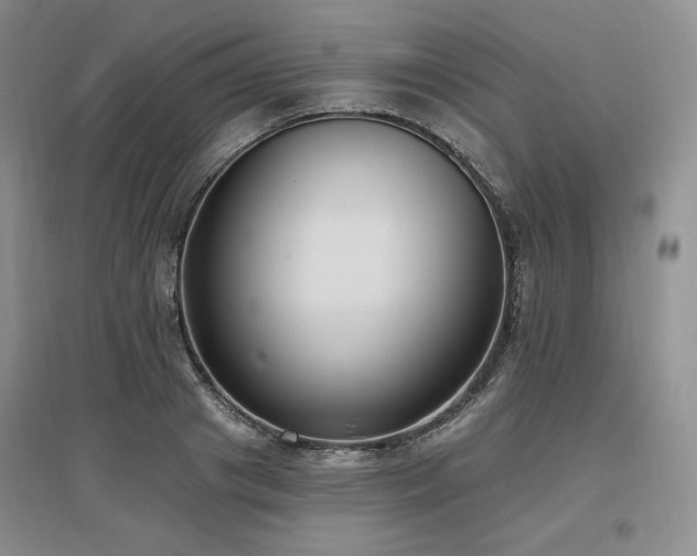 X0000097510841200802221505