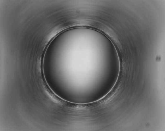 X0000097510842200802221505