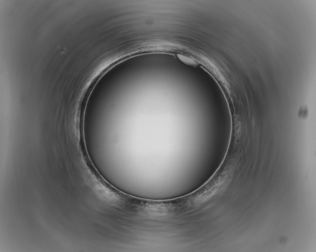 X0000097510843200802221505