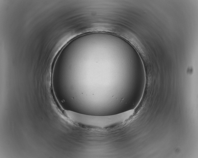 X0000097510844200802221505