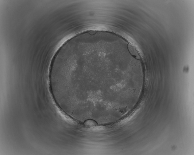 X0000097510845200802221505