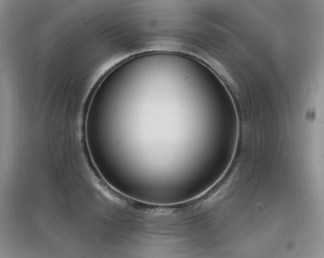 X0000097510846200802221505