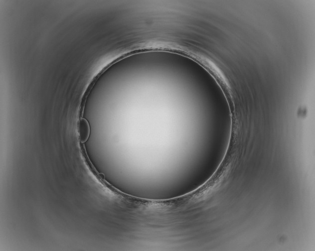X0000097510847200802221505