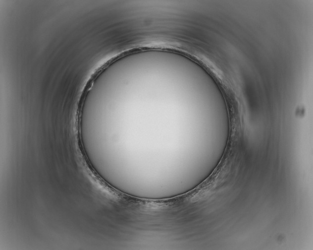 X0000097510848200802221505
