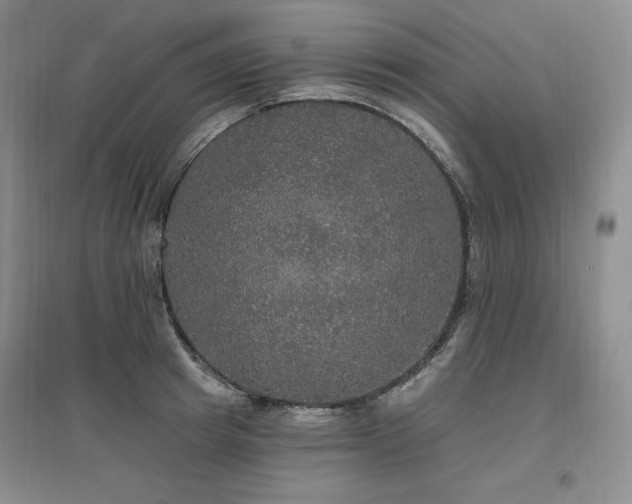 X0000097510849200802221505
