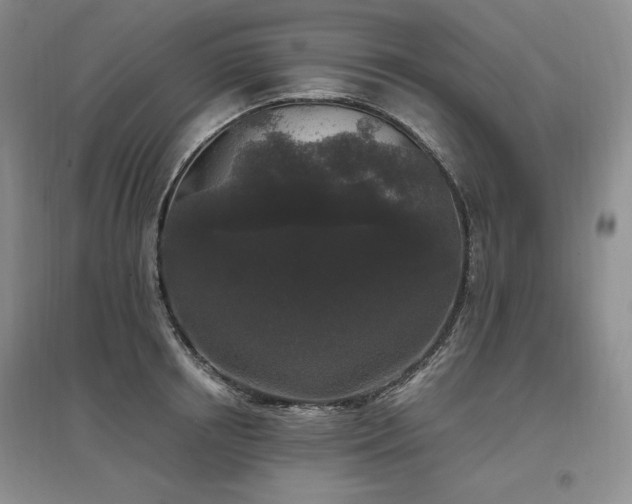 X0000097510850200802221505