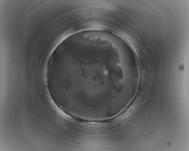 X0000097510851200802221505