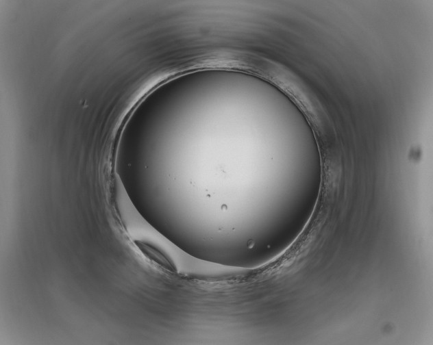 X0000097510852200802221505
