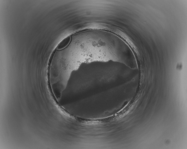 X0000097510853200802221505