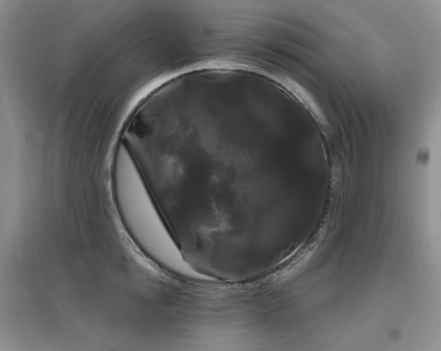 X0000097510854200802221505
