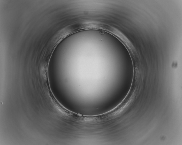X0000097510857200802221505