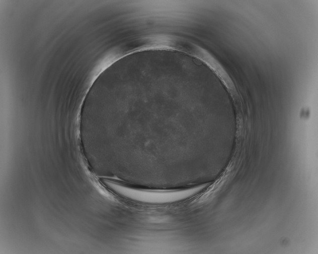 X0000097510858200802221505