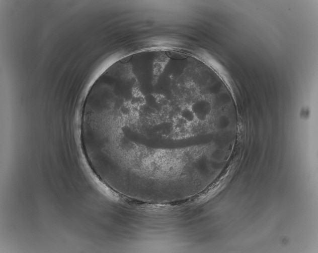 X0000097510859200802221505