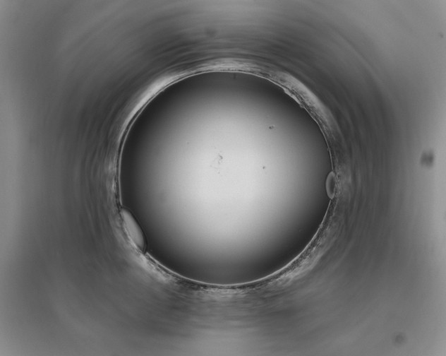 X0000097510860200802221505